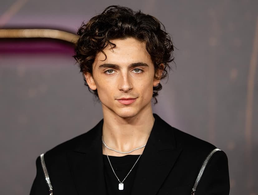 Timothée Chalamet headshot